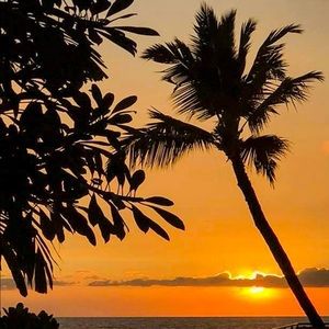 Meet your Posher, Jenni